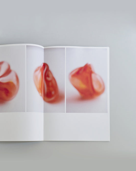 An art book made by Misa Asanuma and Yuri Iwamoto